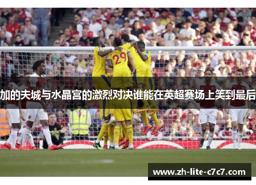 加的夫城与水晶宫的激烈对决谁能在英超赛场上笑到最后
