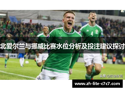 北爱尔兰与挪威比赛水位分析及投注建议探讨